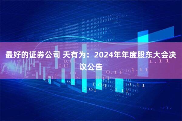 最好的证券公司 天有为：2024年年度股东大会决议公告