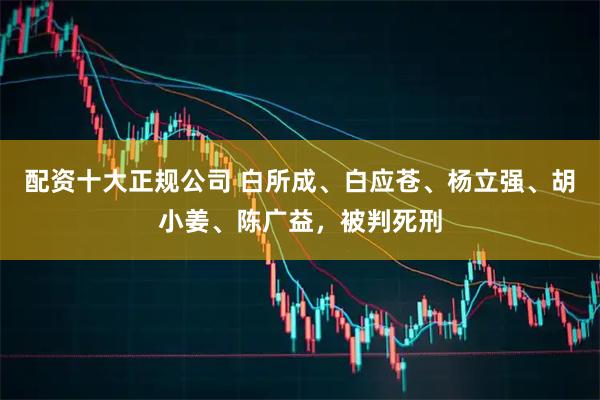 配资十大正规公司 白所成、白应苍、杨立强、胡小姜、陈广益，被判死刑