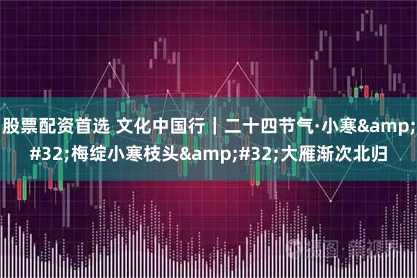 股票配资首选 文化中国行｜二十四节气·小寒 梅绽小寒枝头 大雁渐次北归